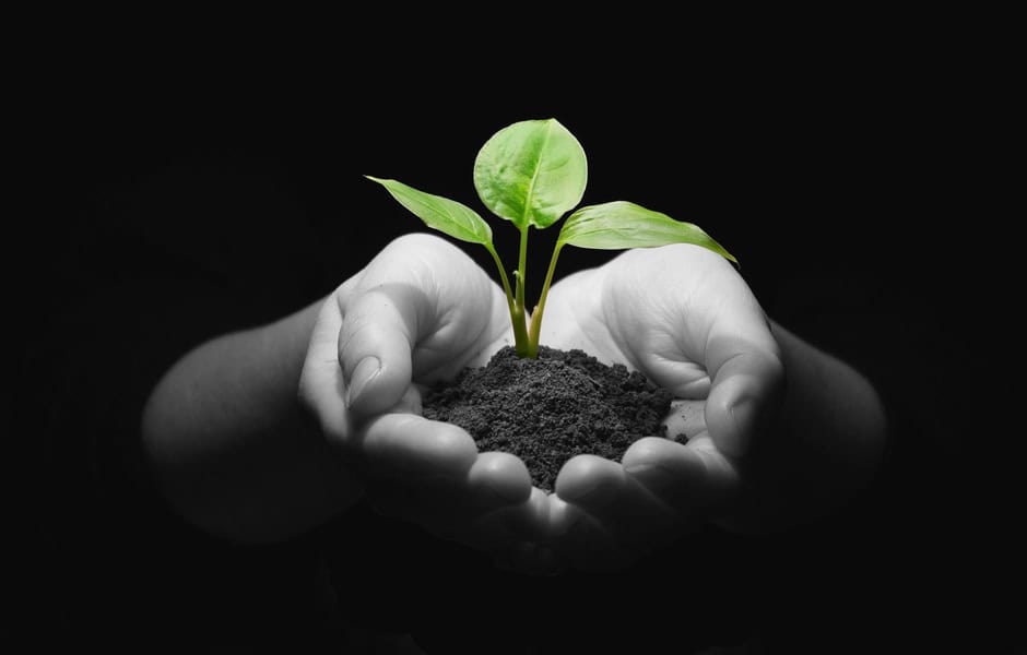 paginas web para startups nuevas empresas eduweb