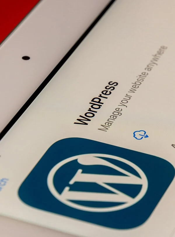 paginas-web-en-wordpress-barcelona-eduweb PAGINAS WEB EN WORDPRESS BARCELONA